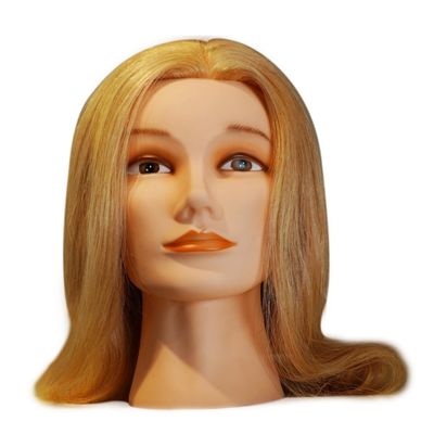 유럽 얼굴 연습 인형 머리와 후방 모발 방향과 인간 모발
