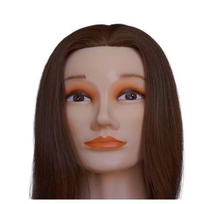 유럽 얼굴 연습 인형 머리와 후방 모발 방향과 인간 모발